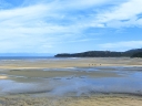 abeltasman (51)